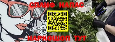 СК Нальчик