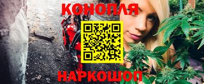 мяу мяу мука Нарткала