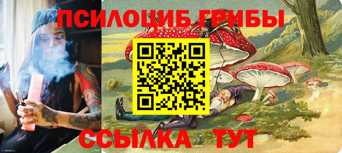 Псилоцибиновые грибы Psilocybe Черкесск