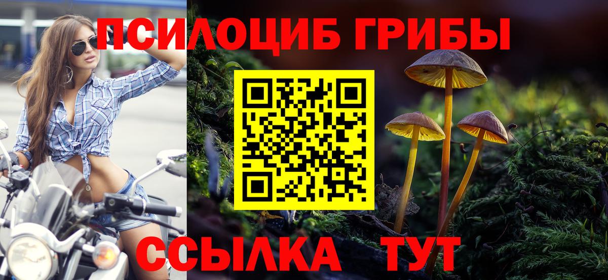 Галлюциногенные грибы GOLDEN TEACHER  Вход с VPN  Черкесск 